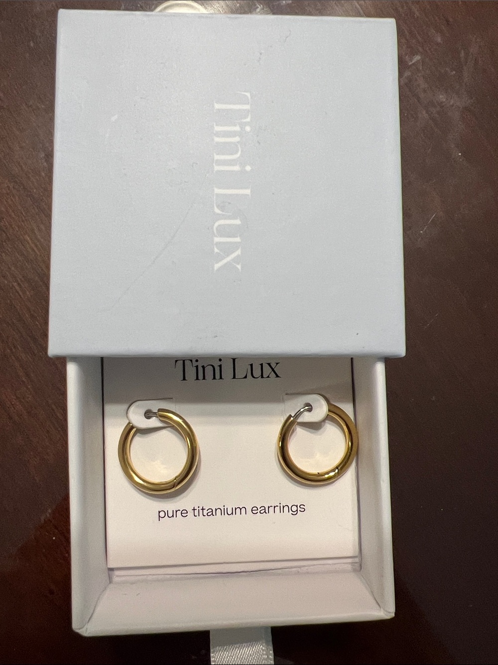 Tini Lux Gold Titanium Rooftop Hoop Earrings NWOT